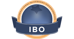 logo_ibo.png