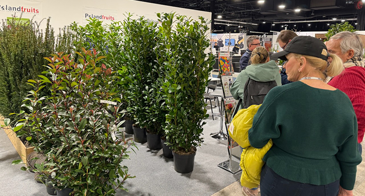 2025-02-18_garden_expo3.jpg