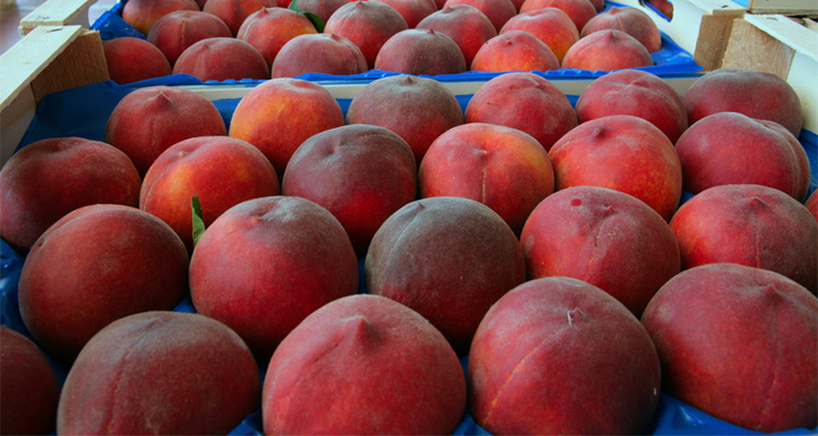 2026-05-05_naoussa_fruit.jpg