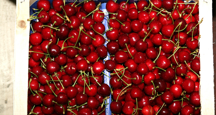 2026-05-05_naoussa_fruit4.jpg